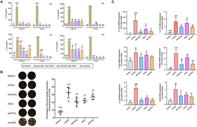 Induction of Intestinal Th17 Cells by Flagellins From Segmented Filamentous Bacteria